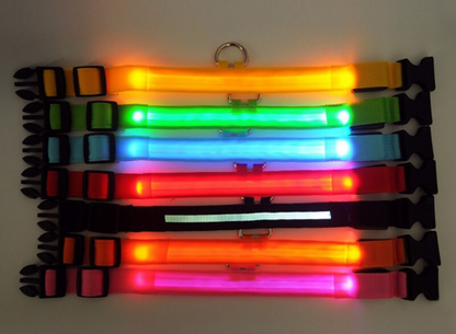 LED Regulowana Obroża dla Psa – Świecąca, Migająca, Wodoodporna Obroża Bezpieczeństwa