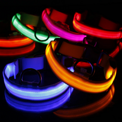 LED Regulowana Obroża dla Psa – Świecąca, Migająca, Wodoodporna Obroża Bezpieczeństwa