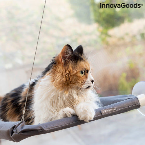 Wiszący hamak dla kota Catlax InnovaGoods