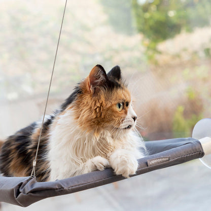 Wiszący hamak dla kota Catlax InnovaGoods